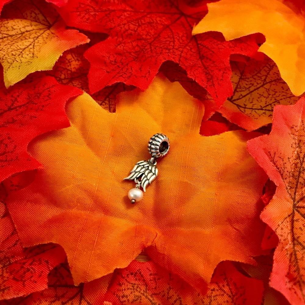 Pandora Guardian Angel Wing Charm